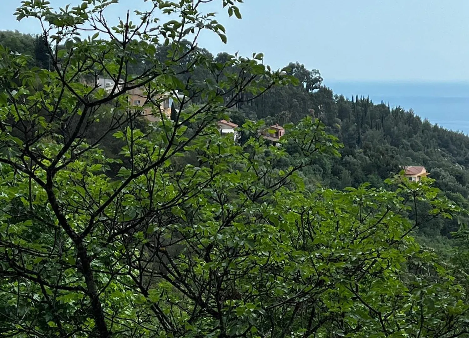 Eze Roc Διαμέρισμα